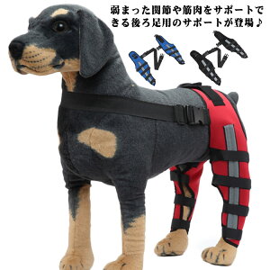 p  EZbg G ֐߃veN^[ p ֐߃veN^[ 둫 p G T|[^[ 㑫֐ߕی yA Œ T|[^[