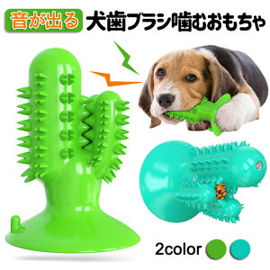  ނ p ̂     ybg  ybgp ybg ybĝ uV TPRގ  S  