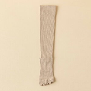 yzܖ{w nC\bNX fB[X C hL ܖ{wnC\bNX u\bNX  5{w\bNX nC  z ȍ n Rbg\bNX ܖ{wC Xgb` \b