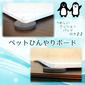 C^AY 嗝 ybg Ђ {[h  MǑ΍􏋂΍ N[ K }bg p ₽ C^A ΐ v[g v ΍  xbh ⊴ ΍  L  ȒP GR d