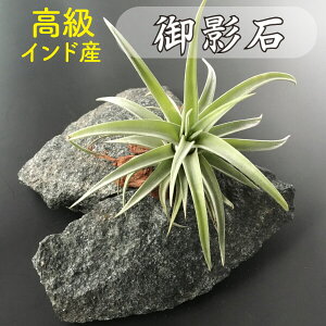 【御影石】石片 天然 高級 ナチュラルストーン エアプランツ インテリア エクステリア 植物 鉢 箱庭 ジオラマ アレンジメント フラワーアレンジメント ガーデニング DIY リフォーム おしゃれ