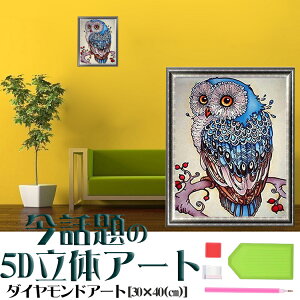 _ChA[g 5D r[YG tNE } 킢 _ChA[g r[Y  S  pYA[g  ȒP k Mtg v[g