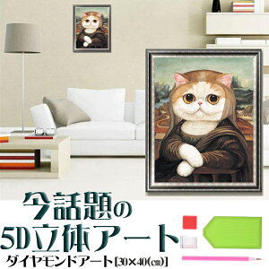 _ChA[g 5D 킢 L iU hJLbg }Ĉ r[YG DIY  |Lbg S CeA UCNA[g A[g lCƒ  ȒPyz