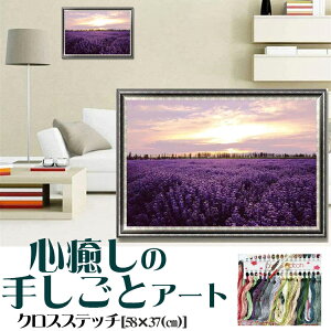 NXXeb` x_[ hJLbg DIY S wʂ ʂt ƒhJi ٖD z[fR[V|p 蕨 nI ǃA[g |pi