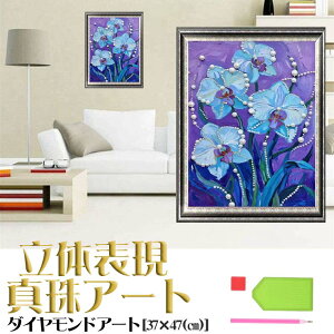 �_�C�������h�A�[�g �p�[���_�C�������h�A�[�g �Ӓ��� �� ���i DIY �r�[�Y�G�� ���S�Ҍ��� �n���h���C�h �C���e���A�A�[�g �������� ��l�̎ �^��_�C�������h�A�[�g �h�J�L�b�g �Ǐ��� 