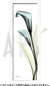 yCZXvgzgQA[g XRay G |X^[ A[gpl _ A[g G  ŉ ۉ i gOt VNXN[ A[gt[ CeA t[t