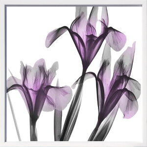 yCZXvgzgQA[g XRay G |X^[ A[gpl _ A[g G  ŉ ۉ i gOt VNXN[ A[gt[ CeA t[t