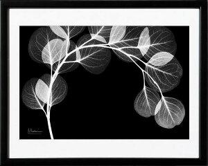 yCZXvgzgQA[g XRay G |X^[ A[gpl _ A[g G  ŉ ۉ i gOt VNXN[ A[gt[ CeA t[t