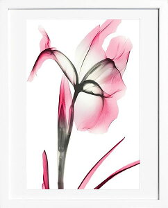 yCZXvgzgQA[g XRay G |X^[ A[gpl _ A[g G  ŉ ۉ i gOt VNXN[ A[gt[ CeA t[t