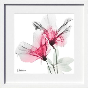 yCZXvgzgQA[g XRay G |X^[ A[gpl _ A[g G  ŉ ۉ i gOt VNXN[ A[gt[ CeA t[t