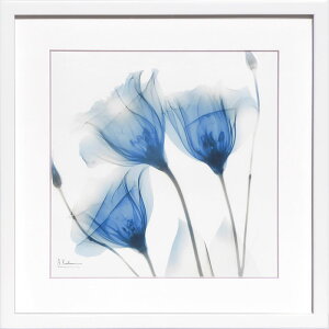 gQA[g XRay G G |X^[ A[gpl A[g|X^[ _ A[g  ŉ gOt VNXN[ GCeA t[t k Ao[gEN