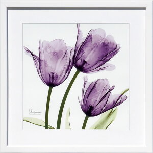 yCZXvgzgQA[g XRay G |X^[ A[gpl _ A[g G  ŉ ۉ i gOt VNXN[ A[gt[ CeA t[t