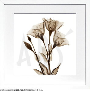 yCZXvgzgQA[g XRay G |X^[ A[gpl _ A[g G  ŉ ۉ i gOt VNXN[ A[gt[ CeA t[t