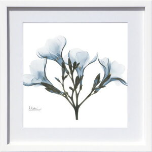 yCZXvgzgQA[g XRay G |X^[ A[gpl _ A[g G  ŉ ۉ i gOt VNXN[ A[gt[ CeA t[t