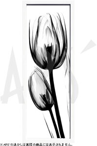 yCZXvgzgQA[g XRay G |X^[ A[gpl _ A[g G  ŉ ۉ i gOt VNXN[ A[gt[ CeA t[t