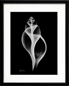 yCZXvgzgQA[g XRay G |X^[ A[gpl _ A[g G  ŉ ۉ i gOt VNXN[ A[gt[ CeA t[t