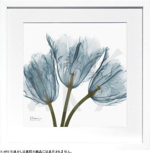 yCZXvgzgQA[g XRay G |X^[ A[gpl _ A[g G  ŉ ۉ i gOt VNXN[ A[gt[ CeA t[t