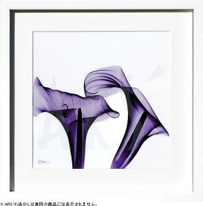 yCZXvgzgQA[g XRay G |X^[ A[gpl _ A[g G  ŉ ۉ i gOt VNXN[ A[gt[ CeA t[t