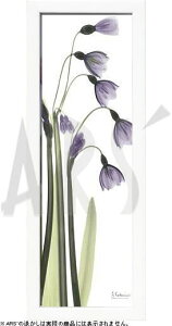 yCZXvgzgQA[g XRay G |X^[ A[gpl _ A[g G  ŉ ۉ i gOt VNXN[ A[gt[ CeA t[t