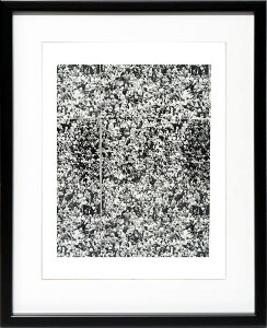 AfBEEH[z |X^[ i L } [  LxX[v G G  ŉ gOt VNXN[ A[gpl |bv A[g CeA t[t k