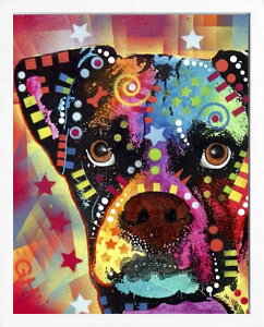 fB[ b\  L  G |X^[ A[gpl A[g|X^[ |bv A[g G  ŉ ۉ i gOt VNXN[ A[gt[ CeA t[t 