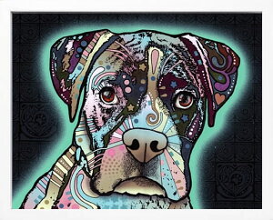 fB[ b\  L  G |X^[ A[gpl A[g|X^[ |bv A[g G  ŉ ۉ i gOt VNXN[ A[gt[ CeA t[t 