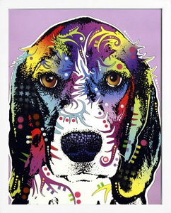 fB[ b\  L  G |X^[ A[gpl A[g|X^[ |bv A[g G  ŉ ۉ i gOt VNXN[ A[gt[ CeA t[t 