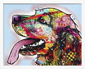 fB[ b\  L  G |X^[ A[gpl A[g|X^[ |bv A[g G  ŉ ۉ i gOt VNXN[ A[gt[ CeA t[t 