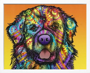 fB[ b\  L  G |X^[ A[gpl A[g|X^[ |bv A[g G  ŉ ۉ i gOt VNXN[ A[gt[ CeA t[t 