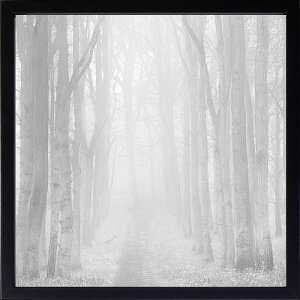 フォトグラフィアート アートパネル 天然木アートフレーム付 壁掛け用 輸入アートプリント モダンアート アートポスター インテリア ウォールアート 絵画 抽象画 タペストリー 北欧 おしゃ