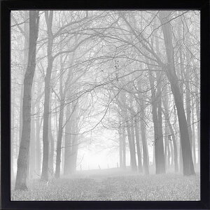 フォトグラフィアート アートパネル 天然木アートフレーム付 壁掛け用 輸入アートプリント モダンアート アートポスター インテリア ウォールアート 絵画 抽象画 タペストリー 北欧 おしゃ