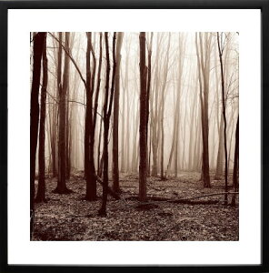 エリン クラーク アートパネル アート ポスター アートフレーム インテリア 北欧 おしゃれ 額 入り タペストリー 壁掛け インテリアアートパネル モダンアート 絵画 インテリア 抽象画 ポス