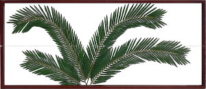 [tpl [tA[gpl [tt[ tFCNO[ Ǌ| Xe CeAO[ z Ǌ| O[ A[gpl A k  CeAA[gpl 