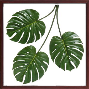 リーフパネル リーフアートパネル リーフフレーム フェイクグリーン 壁掛け モンステラ インテリアグリーン 額 壁掛け グリーン アートパネル 植物 北欧 おしゃれ インテリアアートパネル
