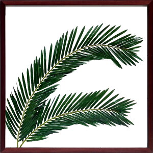 [tpl [tA[gpl [tt[ tFCNO[ Ǌ| Xe CeAO[ z Ǌ| O[ A[gpl A k  CeAA[gpl 