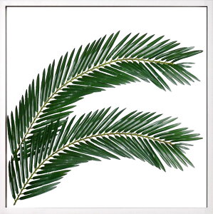 [tpl [tA[gpl [tt[ tFCNO[ Ǌ| Xe CeAO[ z Ǌ| O[ A[gpl A k  CeAA[gpl 