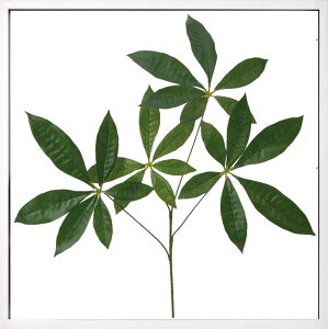 リーフパネル リーフアートパネル リーフフレーム フェイクグリーン 壁掛け モンステラ インテリアグリーン 額 壁掛け グリーン アートパネル 植物 北欧 おしゃれ インテリアアートパネル