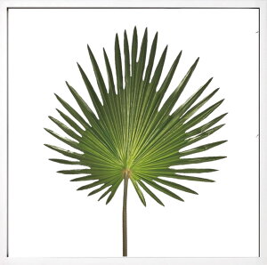 [tpl [tA[gpl [tt[ tFCNO[ Ǌ| Xe CeAO[ z Ǌ| O[ A[gpl A k  CeAA[gpl 