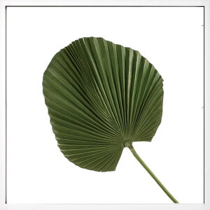 [tpl [tA[gpl [tt[ tFCNO[ Ǌ| Xe CeAO[ z Ǌ| O[ A[gpl A k  CeAA[gpl 