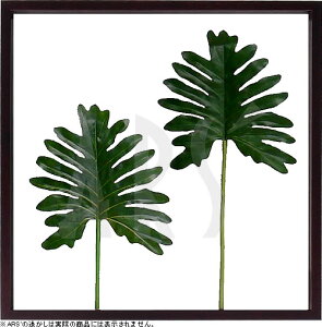 リーフパネル リーフアートパネル リーフフレーム フェイクグリーン 壁掛け モンステラ インテリアグリーン 額 壁掛け グリーン アートパネル 植物 北欧 おしゃれ インテリアアートパネル
