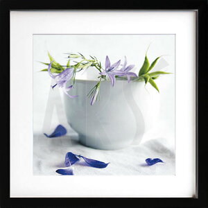 A[gpl A[g|X^[ G CeA |X^[ ^yXg[ Ǌ| A[gt[ EH[A[g A[g{[h _A[g mg[ mN AeB[N Vv k 