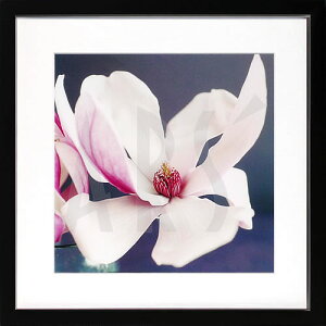 A[gpl A[g|X^[ G CeA |X^[ ^yXg[ Ǌ| A[gt[ EH[A[g A[g{[h _A[g mg[ mN AeB[N Vv k 