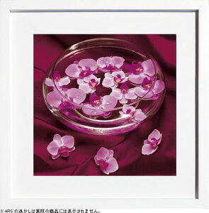 A[gpl A[g|X^[ G CeA |X^[ ^yXg[ Ǌ| A[gt[ EH[A[g A[g{[h _A[g mg[ mN AeB[N Vv k 