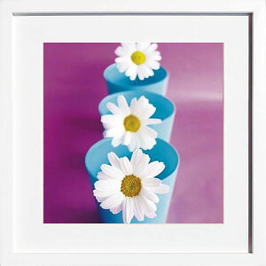 A[gpl A[g|X^[ G CeA |X^[ ^yXg[ Ǌ| A[gt[ EH[A[g A[g{[h _A[g mg[ mN AeB[N Vv k 