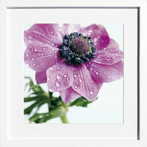 A[gpl A[g|X^[ G CeA |X^[ ^yXg[ Ǌ| A[gt[ EH[A[g A[g{[h _A[g mg[ mN AeB[N Vv k 