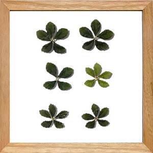 [tpl [tA[g Ǌ| A[gpl CeA ^yXg[ [tt[ EH[A[g A[g{[h mg[ mN AeB[N Vv _ k  