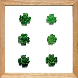 [tpl [tA[g Ǌ| A[gpl CeA ^yXg[ [tt[ EH[A[g A[g{[h mg[ mN AeB[N Vv _ k  