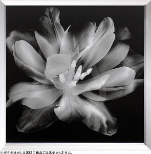 gQA[g A[gpl A[g |X^[ x|ray A[gt[ CeA k  z  ^yXg[ Ǌ| CeAA[gpl _A[g G CeA 