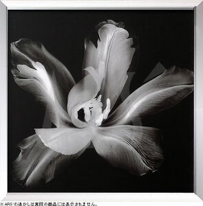 gQA[g A[gpl A[g |X^[ x|ray A[gt[ CeA k  z  ^yXg[ Ǌ| CeAA[gpl _A[g G CeA 