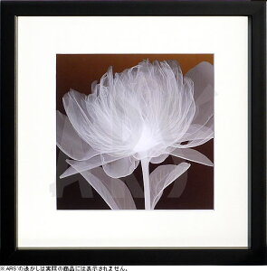 gQA[g A[gpl A[g |X^[ x|ray A[gt[ CeA k  z  ^yXg[ Ǌ| CeAA[gpl _A[g G CeA 